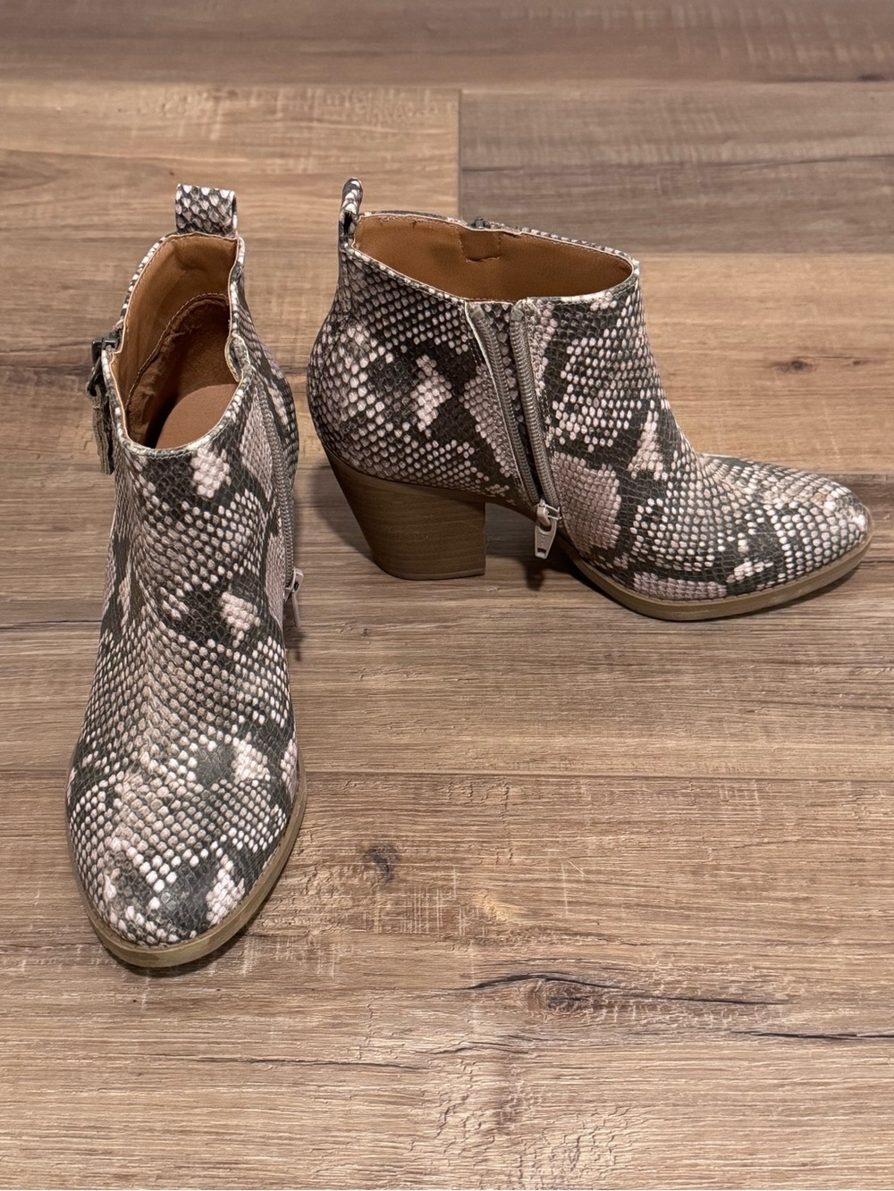 Universal Thread Snake-Print Ankle Booties in Gray and Cream